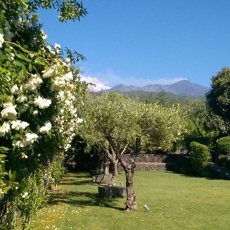 Casa Vacanze Prato Verde Zafferana Etnea Luaran gambar
