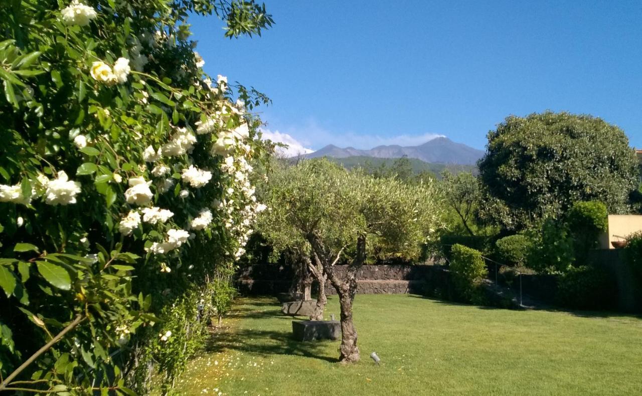 Casa Vacanze Prato Verde Zafferana Etnea Luaran gambar